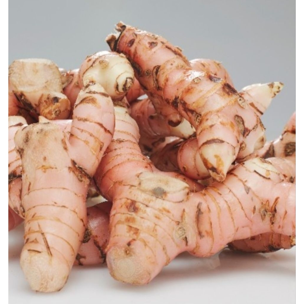 lengkuas/laja,1kg