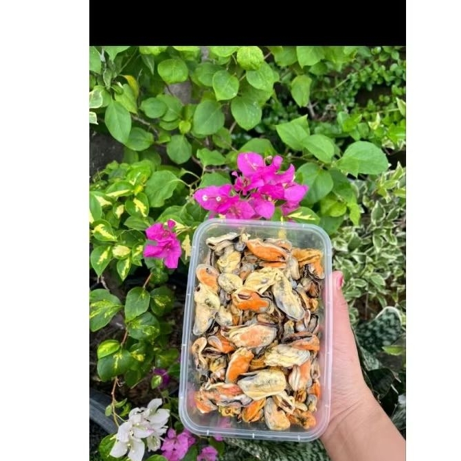 kerang ijo kupas