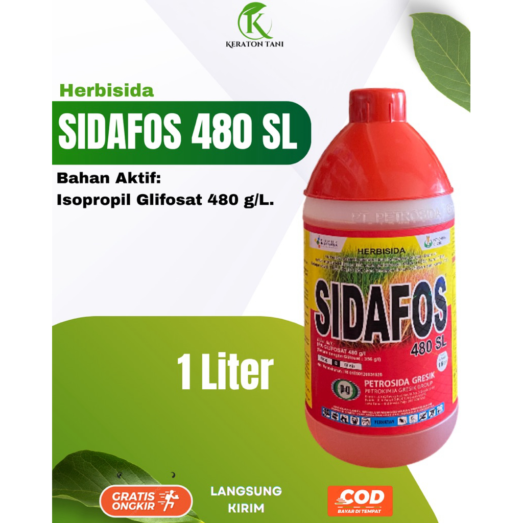 Herbisida SIDAFOS 480 SL - Original Petrosida Gresik, Racun rumput sistemik mati sampai akar