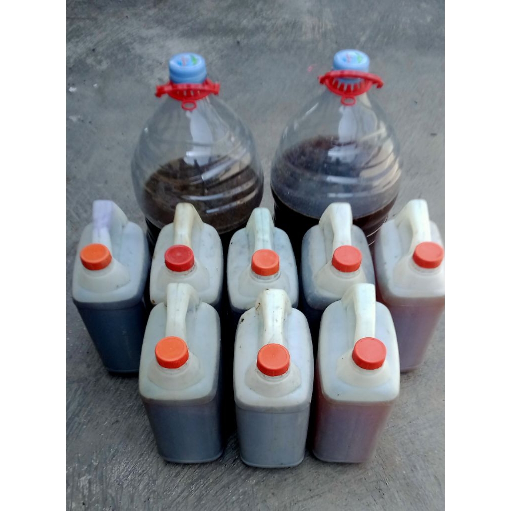 Photosintetis bacteria PSB 5 liter