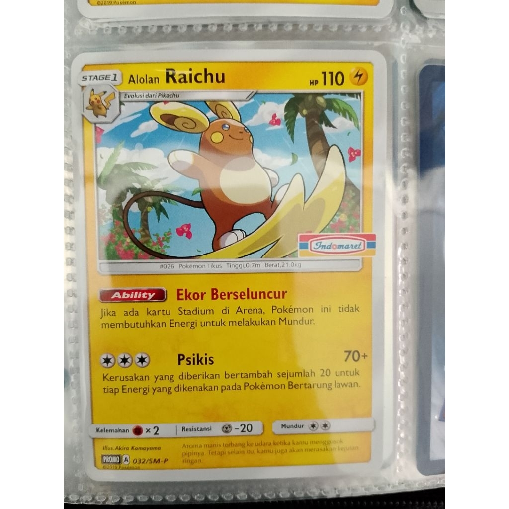 raichu domar