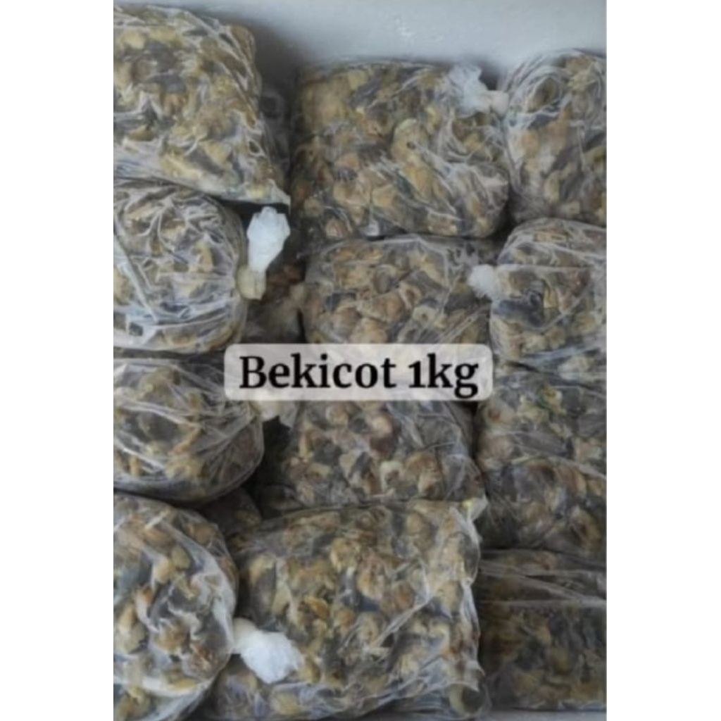 bekicot