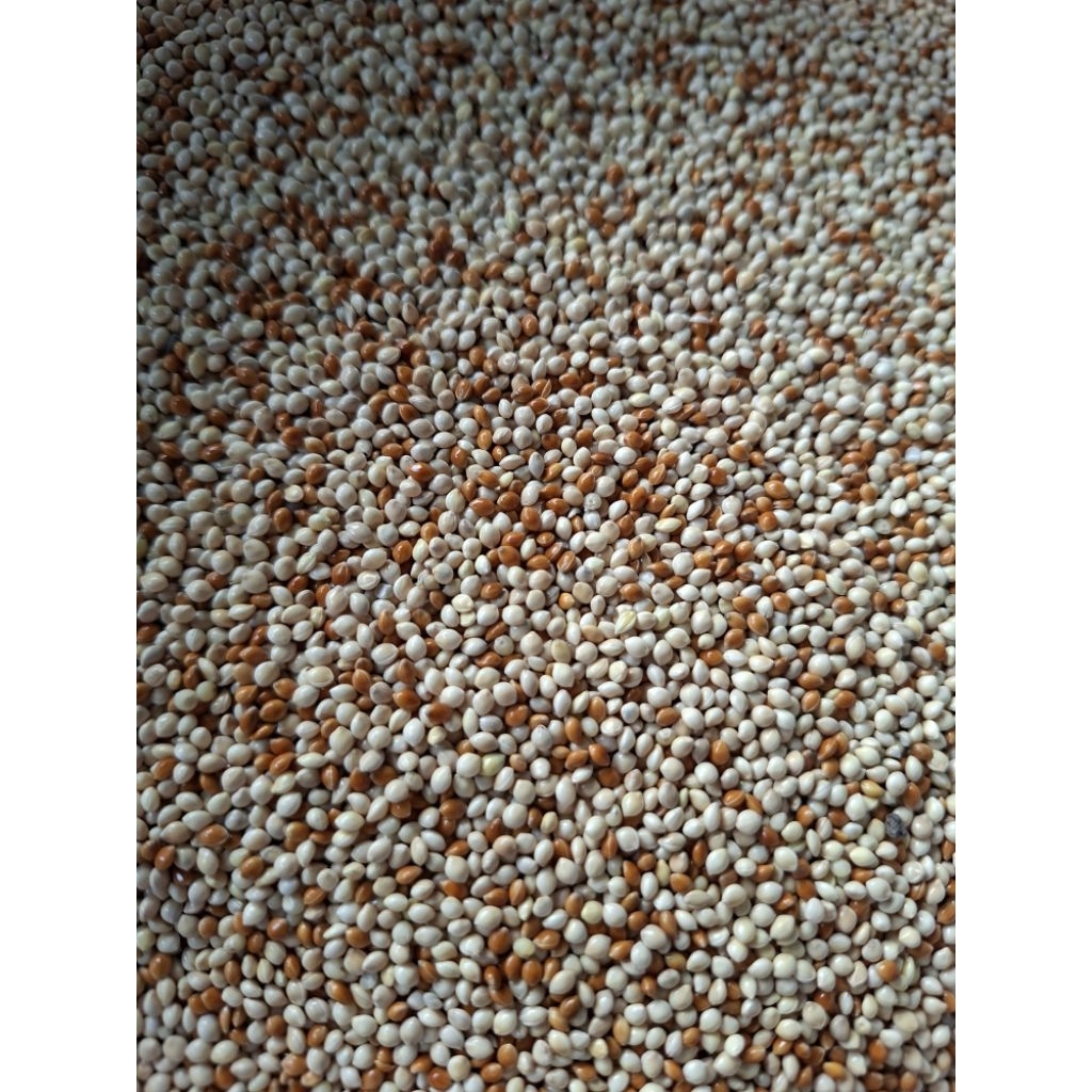 MILET MERAH dan MILET PUTIH di Mix. 1kg.