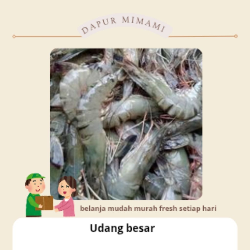 udang besar segar