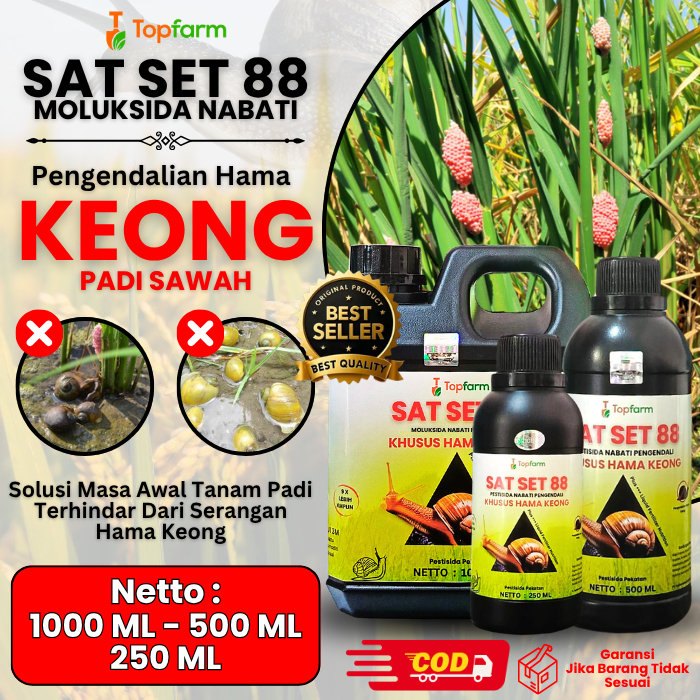 Obat Racun Keong Sawah / Pestisida Keong Sawah / Racun Pembasmi Keong Mas / Obat Pembasmi Keong Sawa