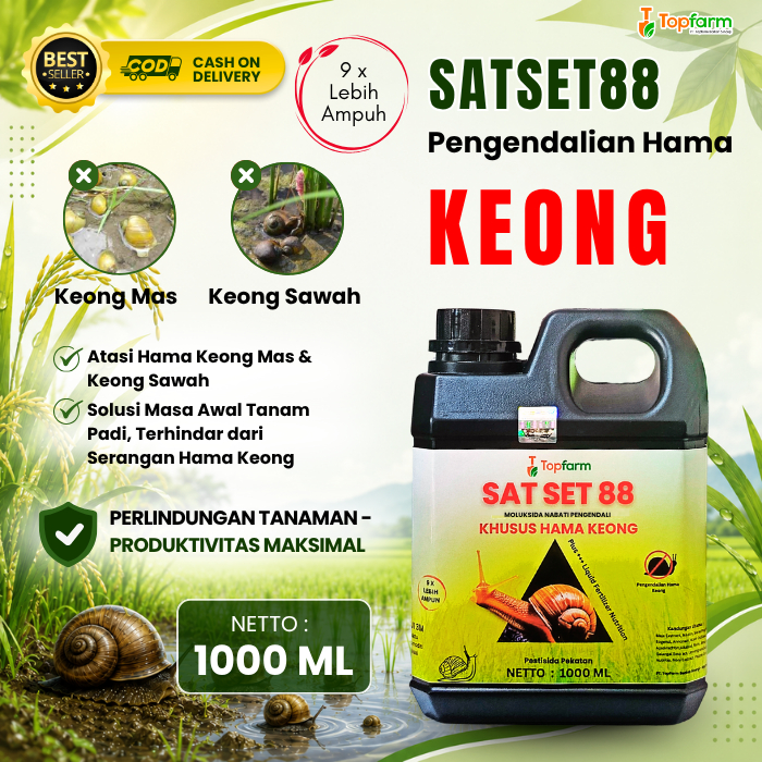 Moluksida Hama Keong Mas / Pestisida Hama Keong Mas / Pestisida Topfarm / Obat Hama Keong Sawah