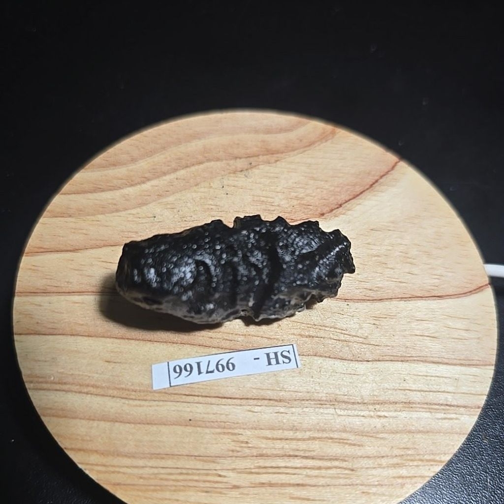 SATAM METEORITE TEKTITE ROUGH HQ Asli