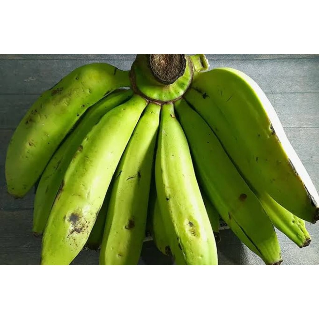 Pisang Ambon Lumut