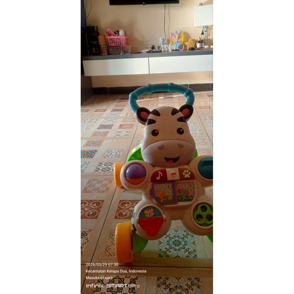 push walker fisher price prelov