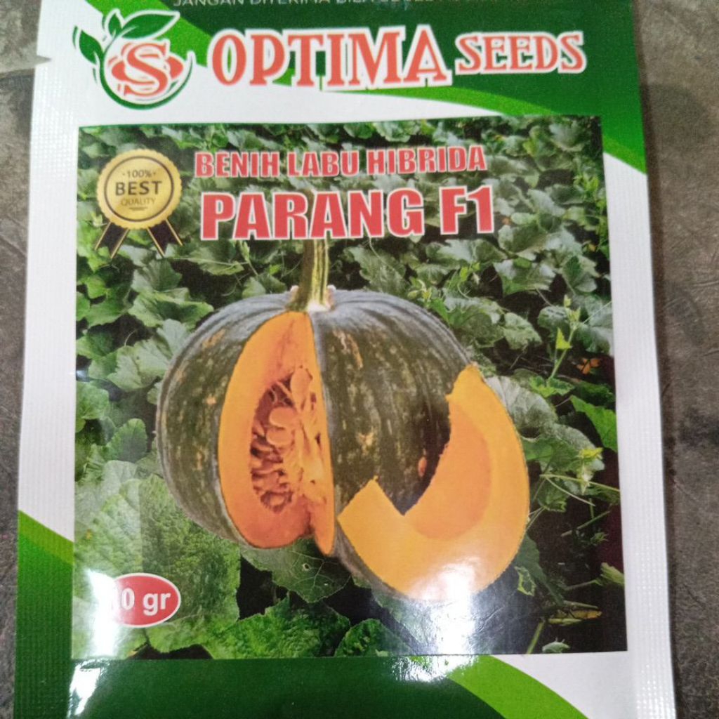 benih waloh/labu parang f1