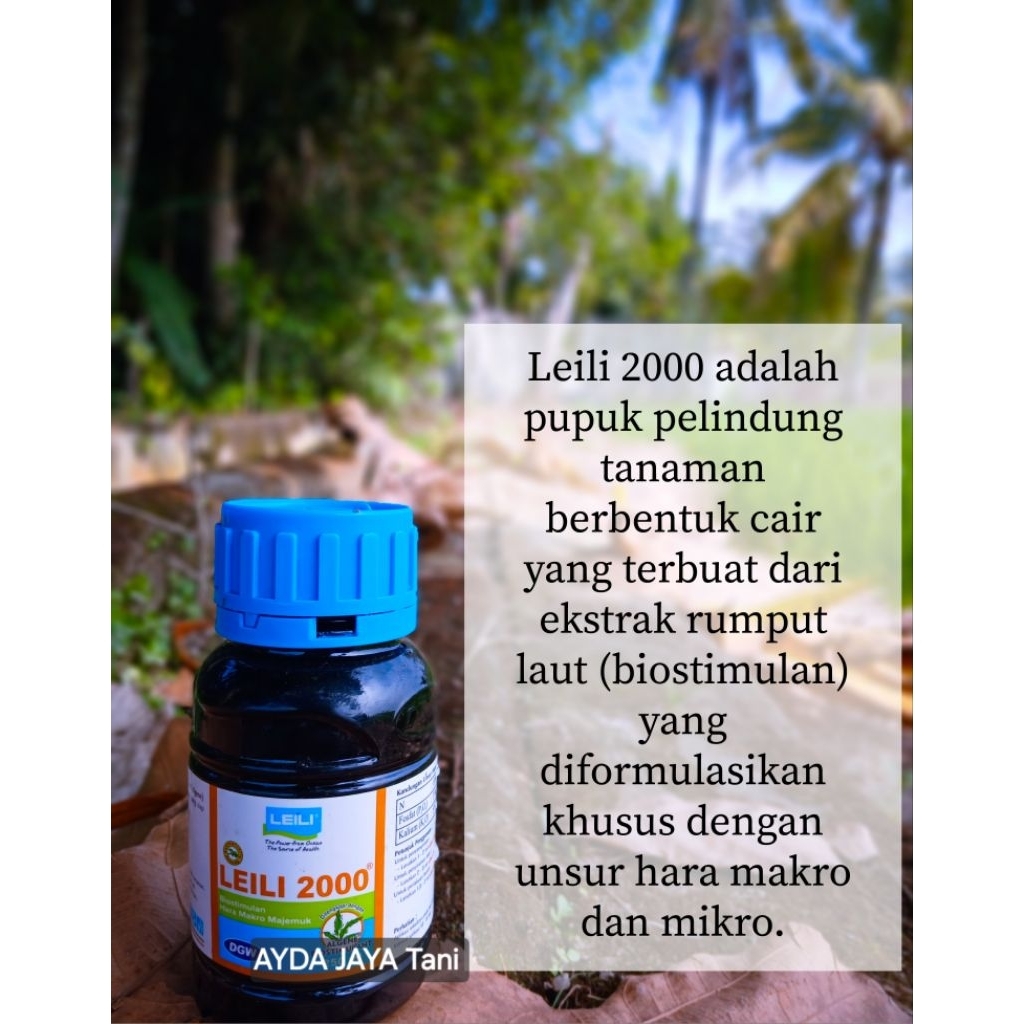 Leili 2000 - 250ml