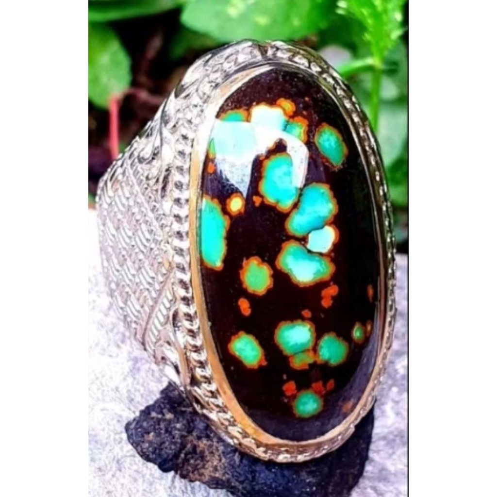 Pirus Hitam multicolor ceplok kuro HQ size jumbo kode pirus hitam