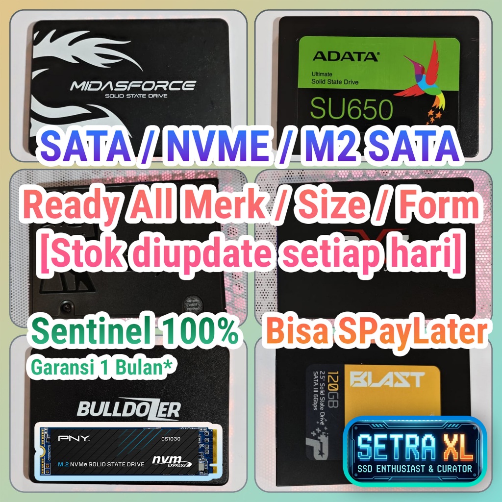 SSD Second SSD Bekas Likenew 100% Sentinel Semua Merk SATA/M2 Sata/NVME SSD MidasForce RX7 VGEN KYO 
