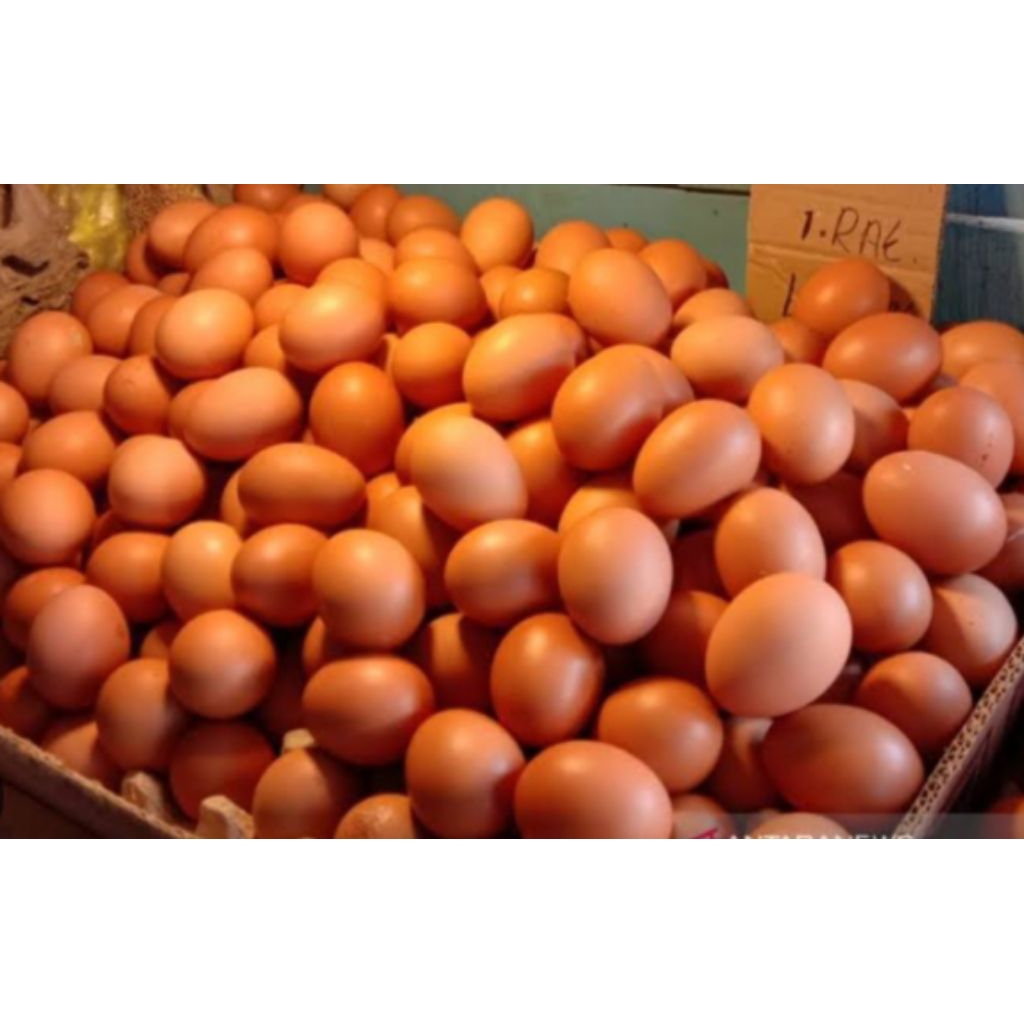 Telur Ayam Negeri,Telur Ayam Lokasi Medan Satria Bekasi