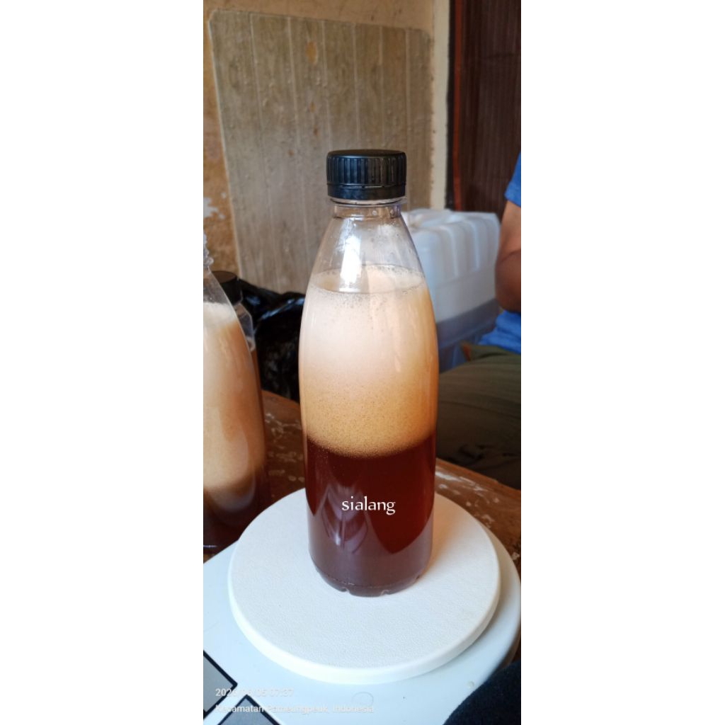madu sialang