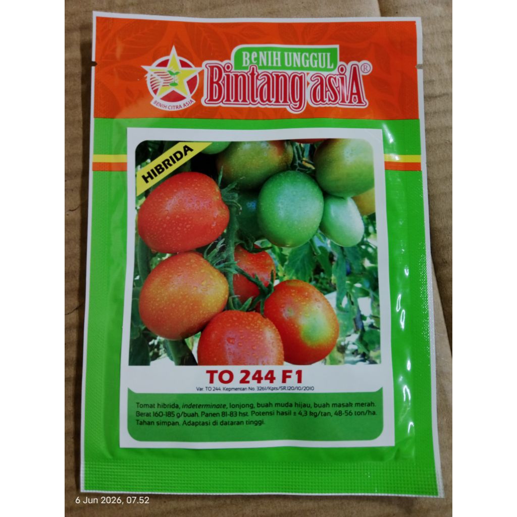 5gr Benih Tomat Unggul TO 244 F1 Cap Bintang Asia Cocok untuk dataran tinggi