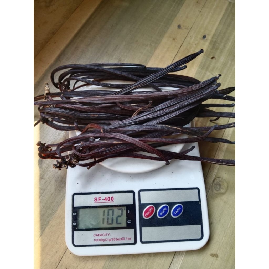 Vanili kering 100gr