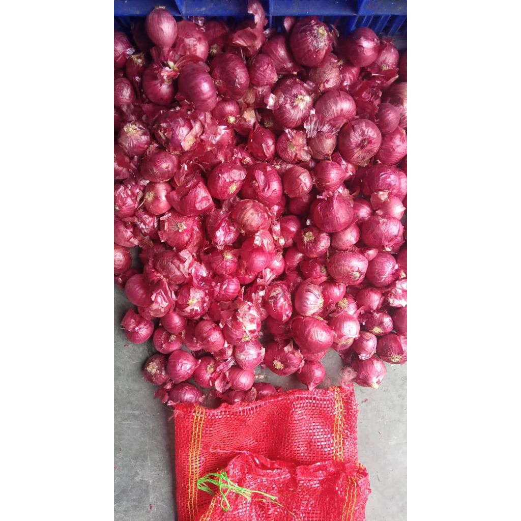 Bawang Merah India Bawang Merah Peking India 500gr
