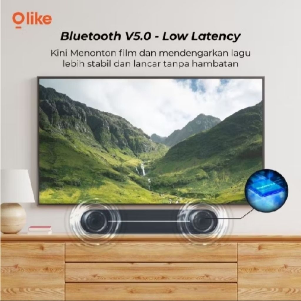 Speaker OLIKE OBS-500