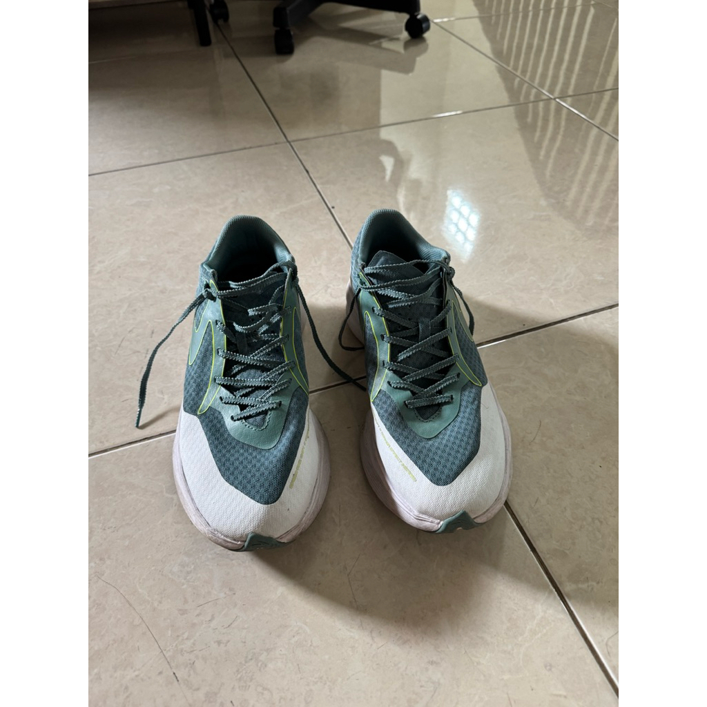specs coanda