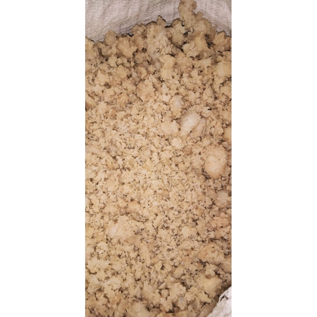 nasi aking / jrangking /karag /aking loyang