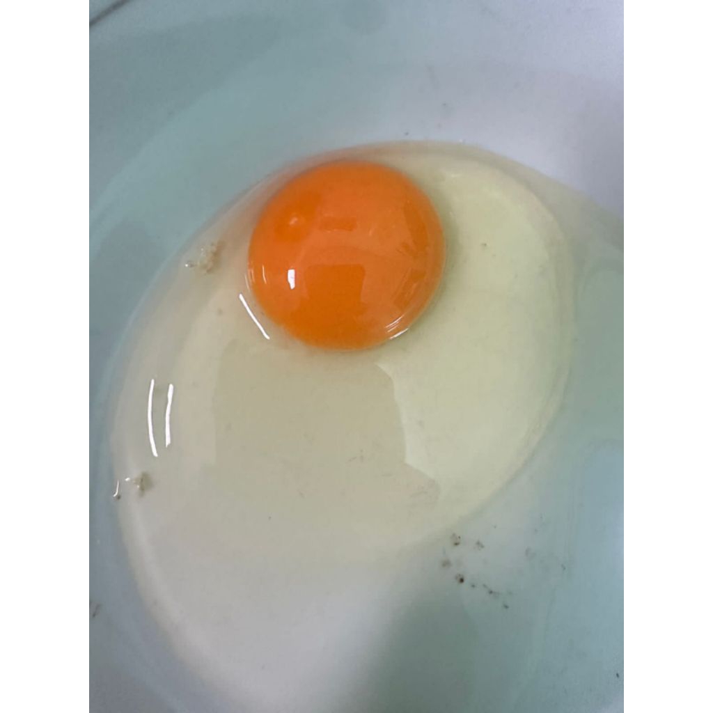telur ayam,Endog,telur ayam negri