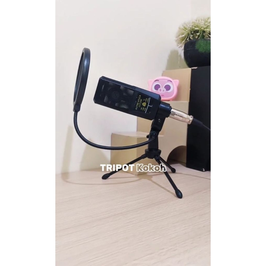 condenser microphone