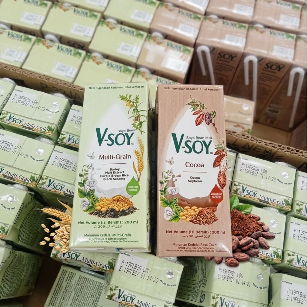 V-SOY MULTIGRAIN/COCOA 200ML