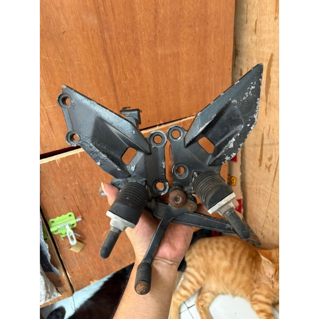 Postep Ninja250 karbu