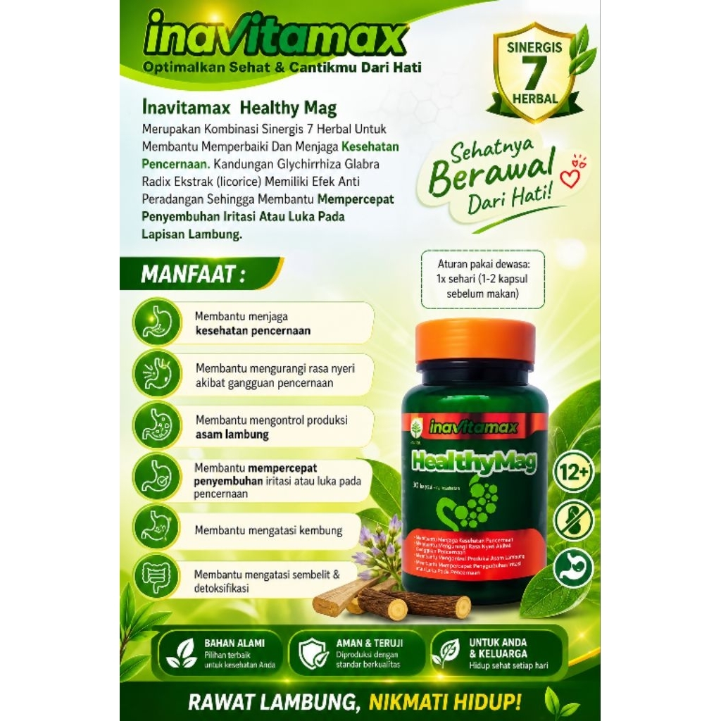 HEALTYMAG inavitamax