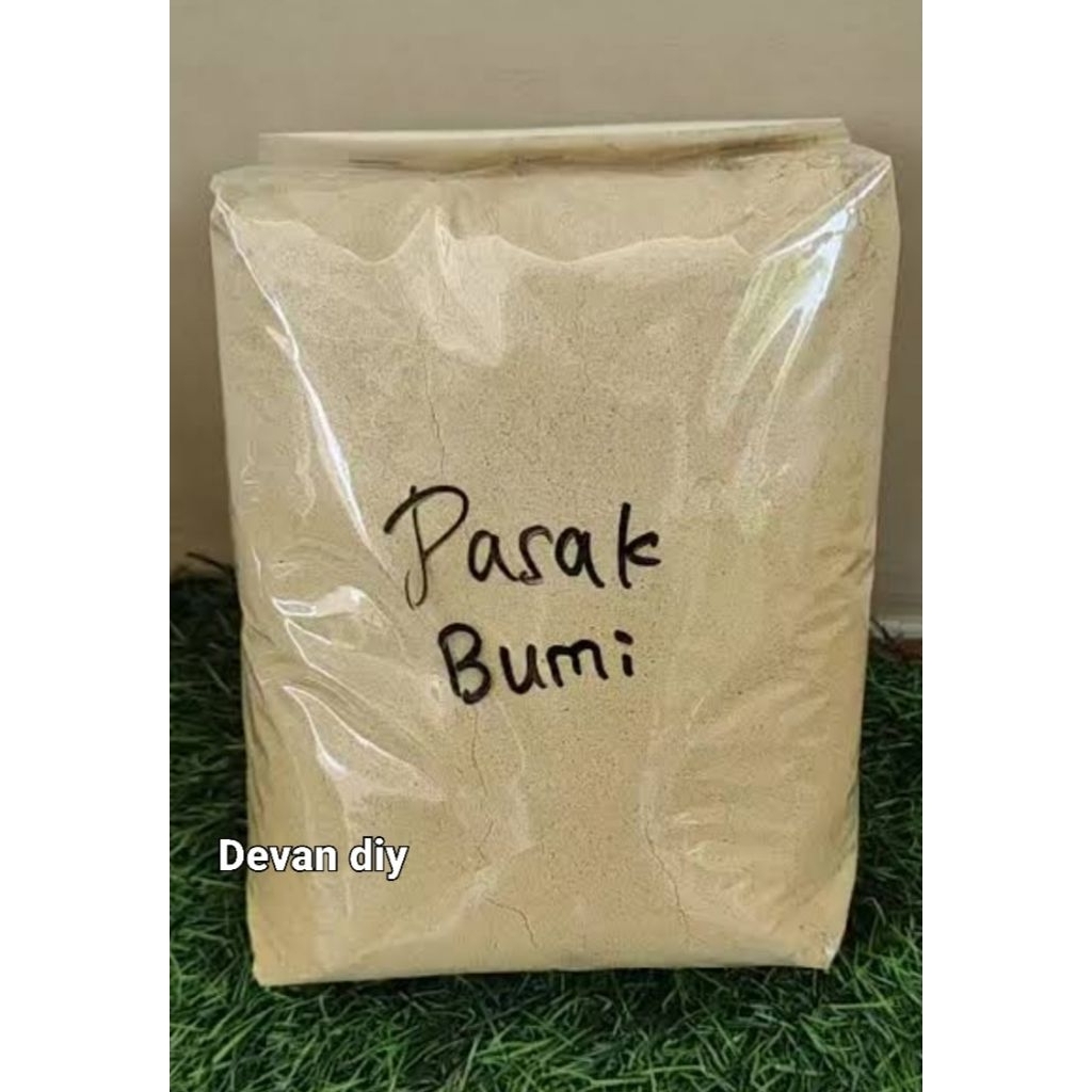 bubuk pasak-bumi, akar pasak-bumi, obat herbal