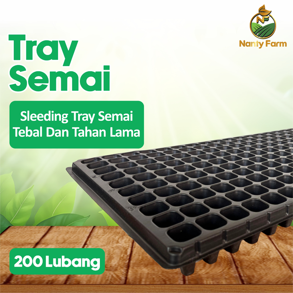 Tray Semai 200 Lubang Traypot Pot Bibit Biji Tray Nampan- Tray Semai 200 Lubang