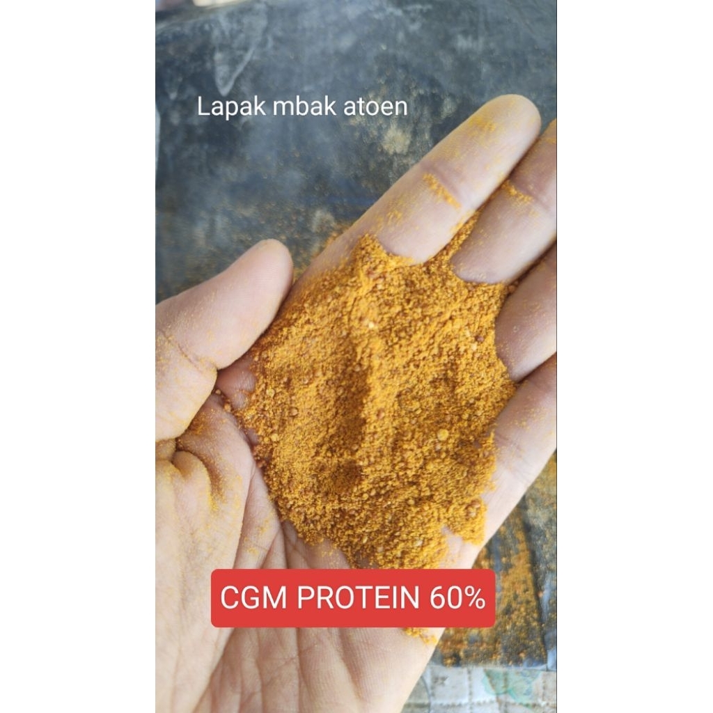 CGM CORN GLUTEN MEAL PROTEIN 60% 1 kg Pakan Ternak