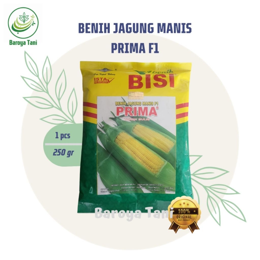 Benih Jagung Manis Hibrida Prima 250 gr Cap Kapal Terbang - Hasil Panen Tinggi, Klobot Hijau Gelap, 