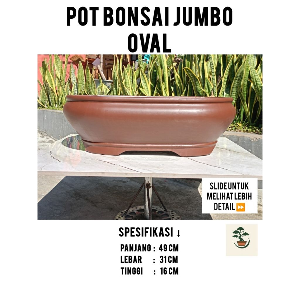 Pot bonsai jumbo semen pot bonsai oval pot ukuran jumbo