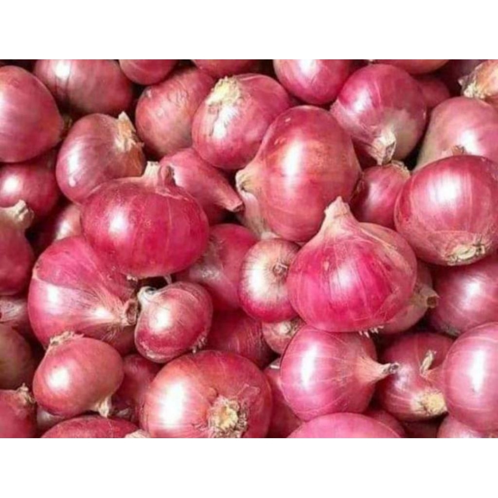 Bawang Merah Garut
