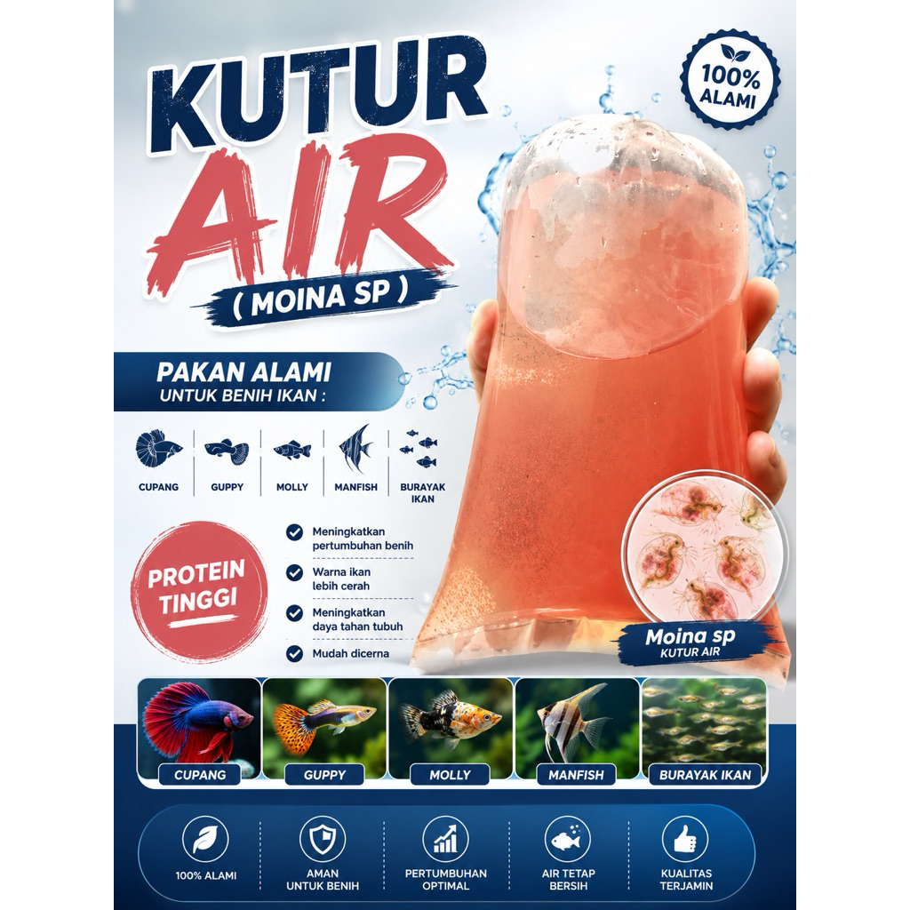 Pakan Ikan Hias Kutu air moina sp / Pakan Ikan cupang