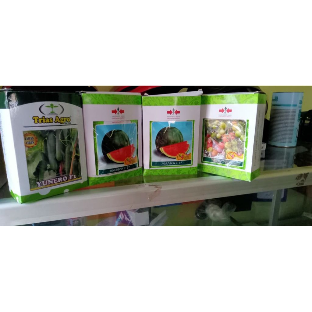 Benih semangka non biji Amara F1