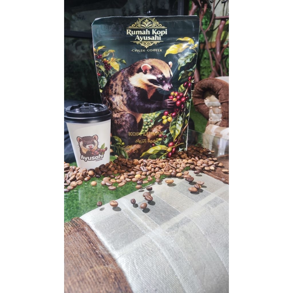 Biji Kopi Luwak Asli 100% Penangkaran | Kopi Alsi biji kopi luwak 100 gram | Biji Roasbean Kopi Luwa