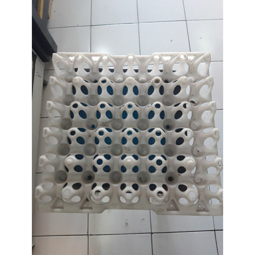TRAY TELUR WADAH TELUR PLASTIK WARNA PUTIH