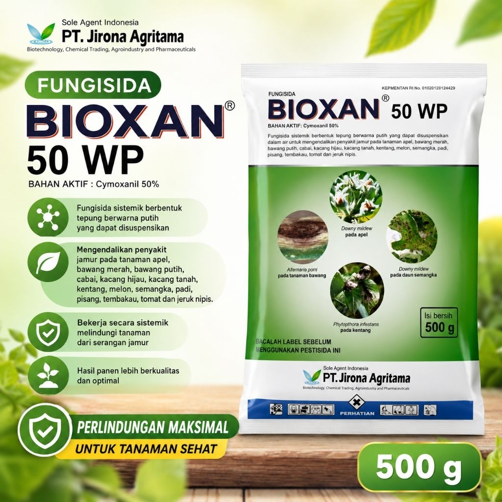 fungisida BIOXAN 50 WP efektif mengendalikan patek cabai