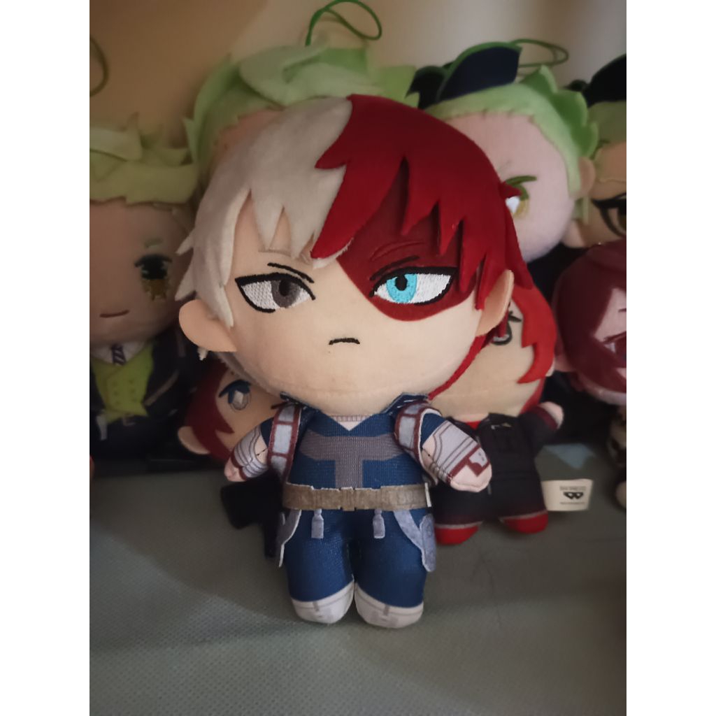 Todoroki Shoto no tag