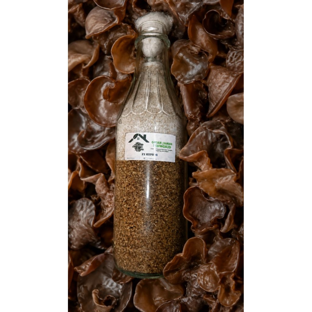 Bibit F2 Jamur Kuping