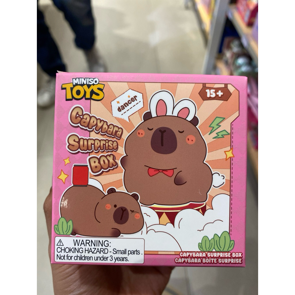Miniso Blind Box Capybara Surprise Box Miniso Toys