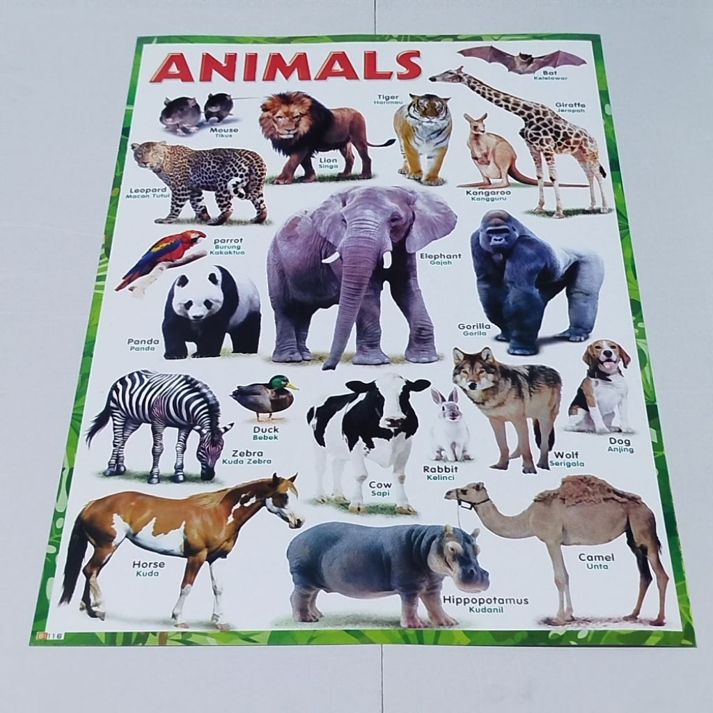 murah paket 6 poster edukasi belajar anak mengenal huruf lepas / angka 1- 100 / huruf hijaiyah /