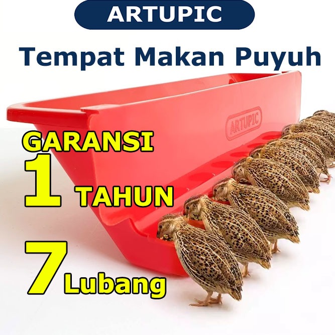 Tempat Makan Puyuh Tempat Pakan Puyuh Feeder Quail