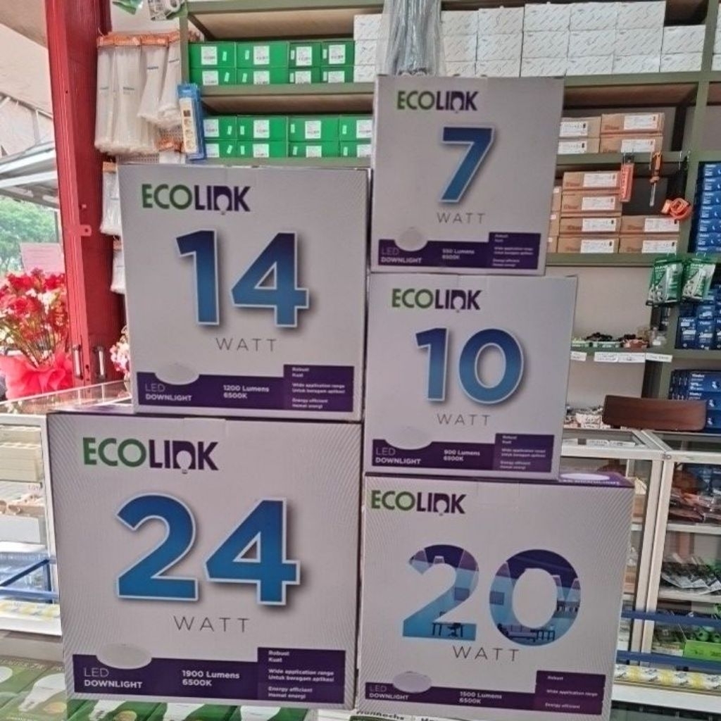 Ecolink LED Downlight