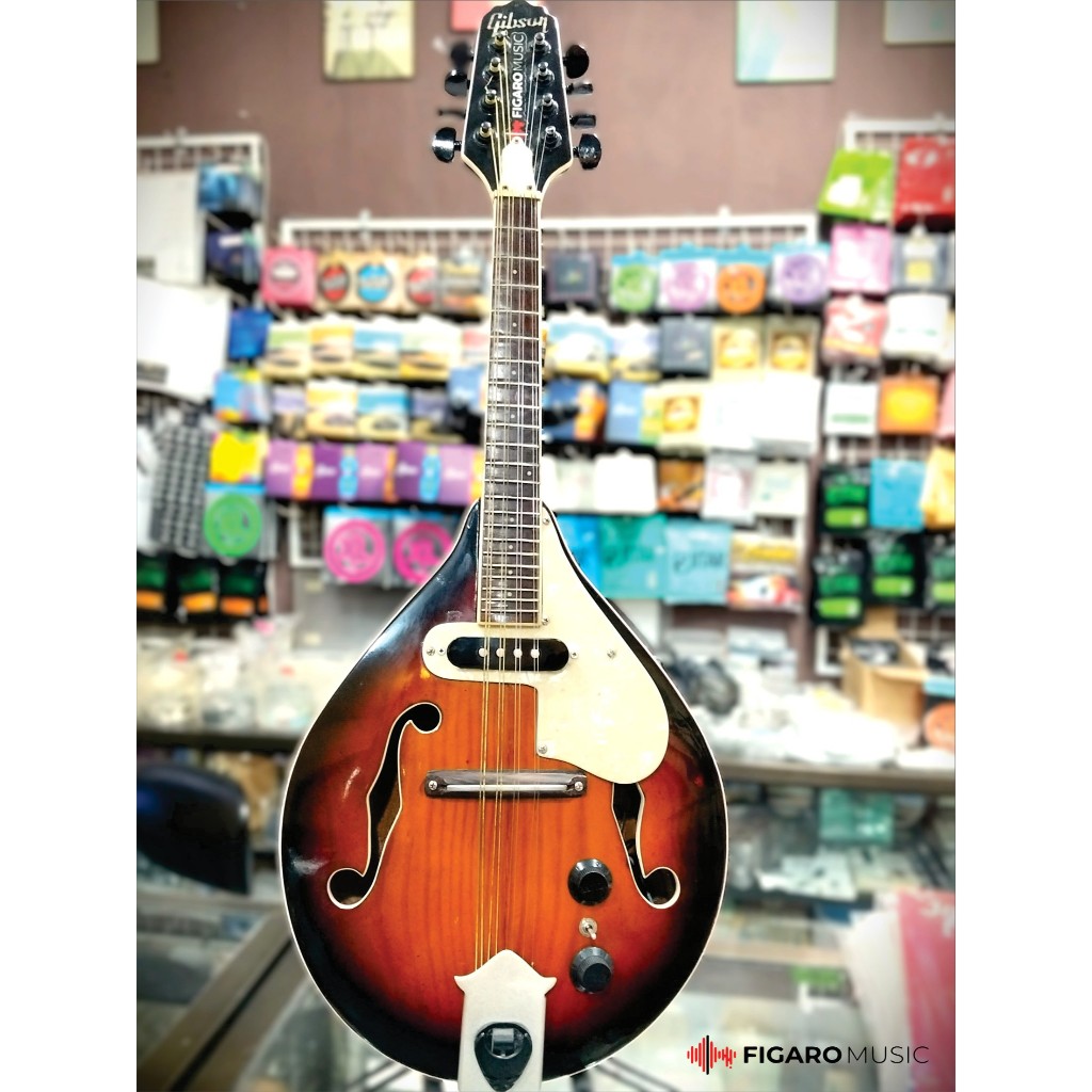 Mandolin Elektrik Custom Solid Wood Brown Sunburst