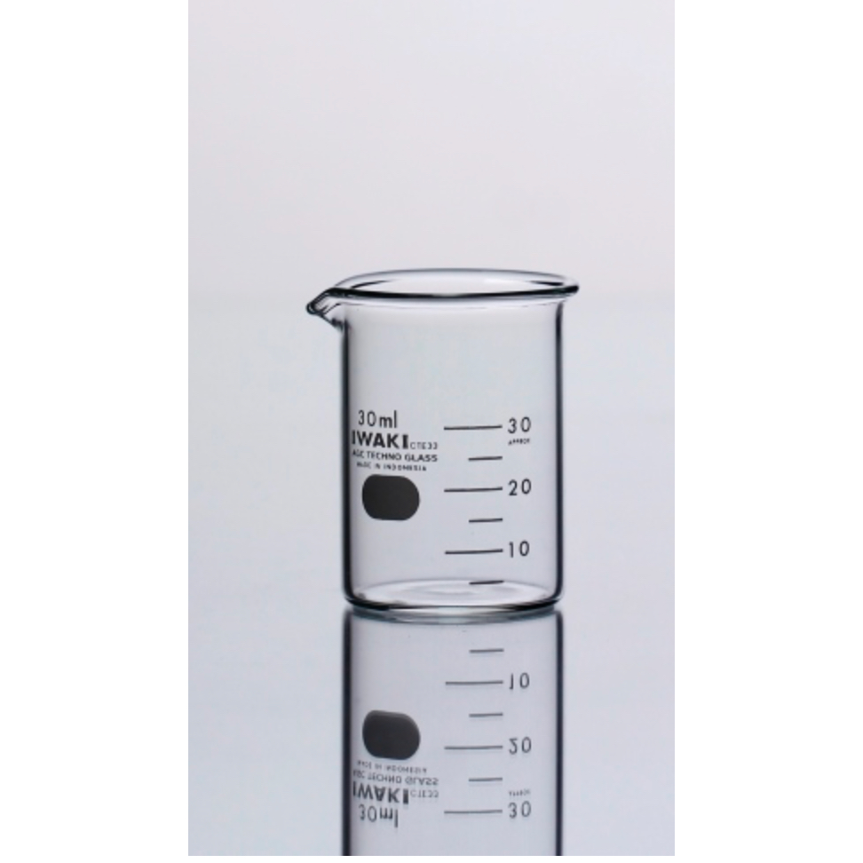 BEAKER GLASS IWAKI 250 ML