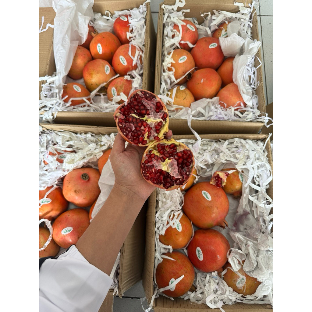 delima merah Peru (1 buah) langsung kirim